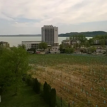 Baricska *