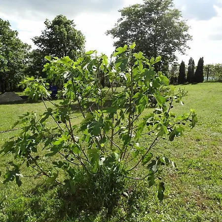 Apartamento Baricska